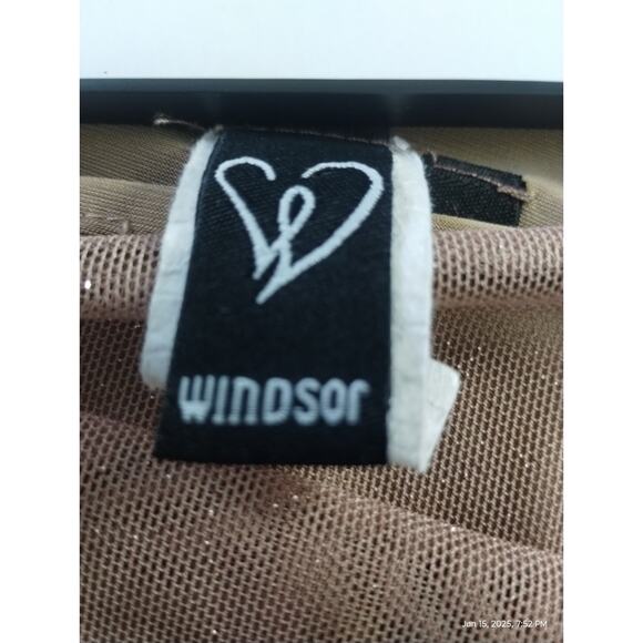 Y2K Windsor Women's Small Mesh Corset Bustier Crop Whimsical Shimmer Top Party - Picture 8 of 12